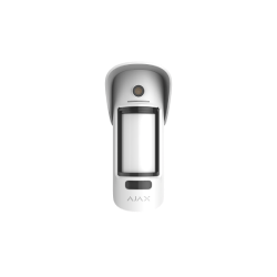 Détecteur extérieur avec levée de doute vidéo à la demande